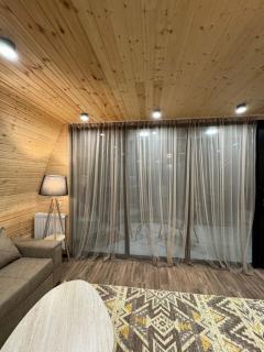 A-frame with forest view, Borjomi - 1