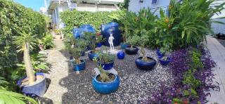 Gîtes Capra Pomme Surette piscine et spa - 5