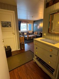 Storehorn Apartments Hemsedal - 3