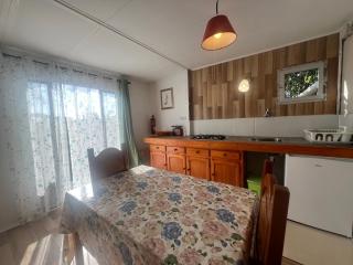 The Secret Garden Lanzarote - 2