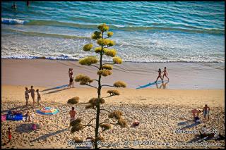 Apartamento Piedra de la Redona - 9