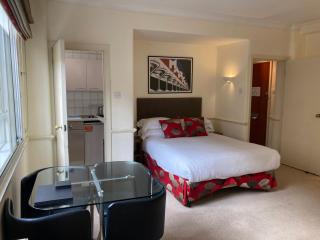 NELL GWYNN HOUSE - Traditional, Warm Studio Apartment, Sloane Square, London - 8