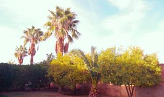 Villa Essalah & Spa Marrakech - Marrakech - 1