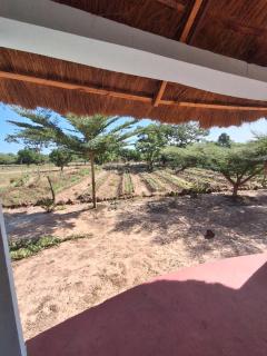 Catalyst Academy - 2