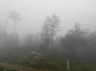 Coffee valley resort Yercaud CVR - 7