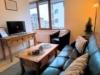 Pine`s Lodge , private Wi-FI - 6