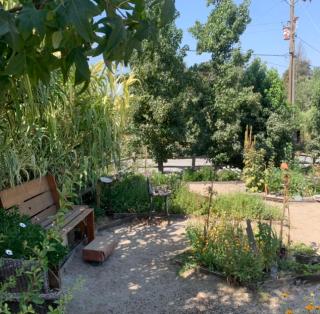 Cabañas entre Talca y Maule, en Piedras Blancas - 9