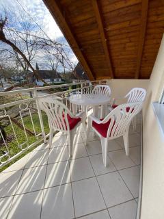 Rebstock - Kehl am Rhein - 3