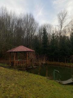 Котедж біля санаторію Сонячне Закарпаття - Polyana - 1