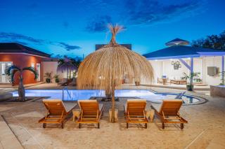 BrandNew Mansion 2 min to Eagle and Palm Beach includes HighEnd Amenities - 1