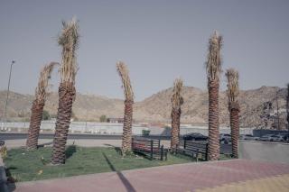 فندق مرمرة Marmara hotel - 8