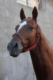 Complejo Itati - Gualeguaychú - 2