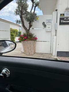 B&B Vincenzo - Torre del Greco - 6