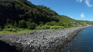 Adega dos Terceira - Baía de Canas - 9