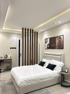 استديو فندقي انيق vip - 9