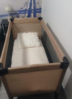 Wolf Street Snow Dream - 3