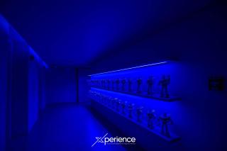 Teal at 12, City Views and Wonderland Vibes! - 1