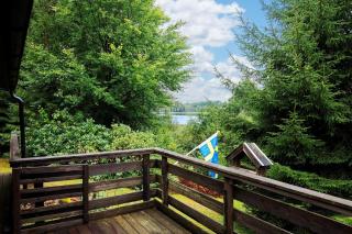 VGO109-Kalv-Roesarp-Sperlingsholm-203 - 9