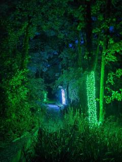 Primrose 19-Woodland Lodges-Carmarthen-Pembroke - 7