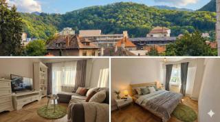 ONIX Apartments Brasov - Braşov - 2