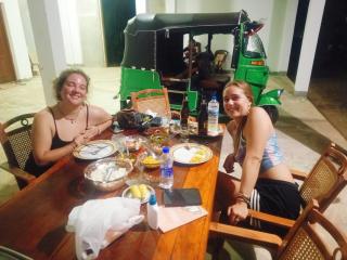 Deer Garden Guest - 4