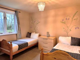 BlueBell 16-Hot Tub-Woodland Lodges-Pembrokeshire - 4