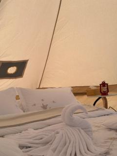 Quiet Nights Camp - 8