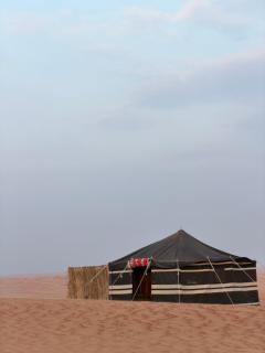 Quiet Nights Camp - 9