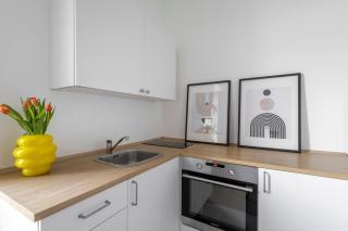 ANTA Salt Mine City - 1