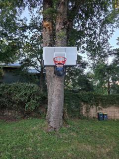 La Casa del Árbol Villarrica Cabañas-Piscina-Tinajas - 6