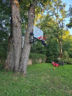 La Casa del Árbol Villarrica Cabañas-Piscina-Tinajas - 1
