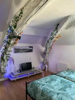 O'Jade 2 Lits Proche Gare Orléans et Fleury - Orléans - 5