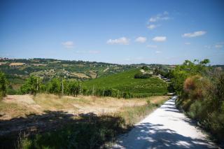 Italian Experience-Zena Suite - 4