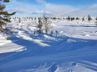 Functional cottage in a good location - 6