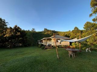 Tea-farm cottage by Aberdare forest river - 2348 - 0