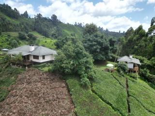 Tea-farm cottage by Aberdare forest river - 2348 - 9