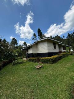Tea-farm cottage by Aberdare forest river - 2348 - 4