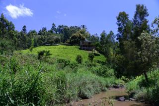 Aberdares Riverside Tea Cottage 1BR - 2349 - 3