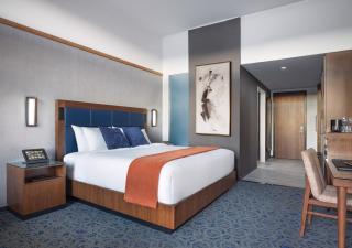 Black Desert Resort - 6