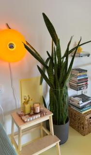 JINJU 18 apartment - 4