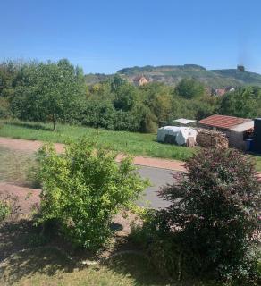 Charmante Wohnung mit eigenem Garten in der Nähe Würzburg - 8