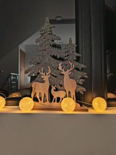 Divčibarska čarolija - 9