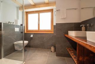 Stadel Alpenstern mit Wellnessbereich - 1