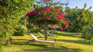 Kohinor maison d'hôtes - 8