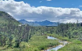 La Quinta by Wyndham Canton MS - 7