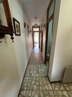 Brand new renovation ! - 2