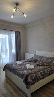 Cozy Studio apartment in Bakuriani Tsakadze - 4