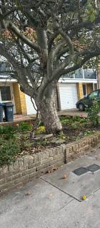 Double Room in Leafy Park Hill - 4