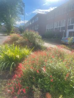 Double Room in Leafy Park Hill - 3