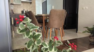 Nature & Calm Stay - 4